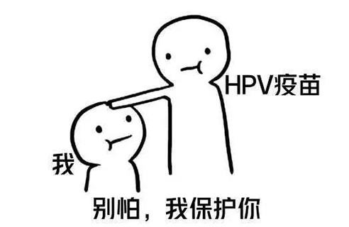 感染HPV.jpg